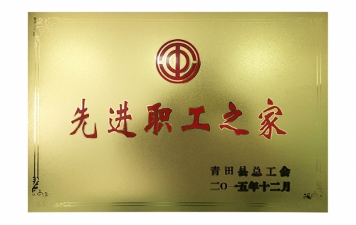 资质荣誉-CC网投,电子式电能,智能电能表,智能开关,智能AMI系统,物联网解决规划,官方网站